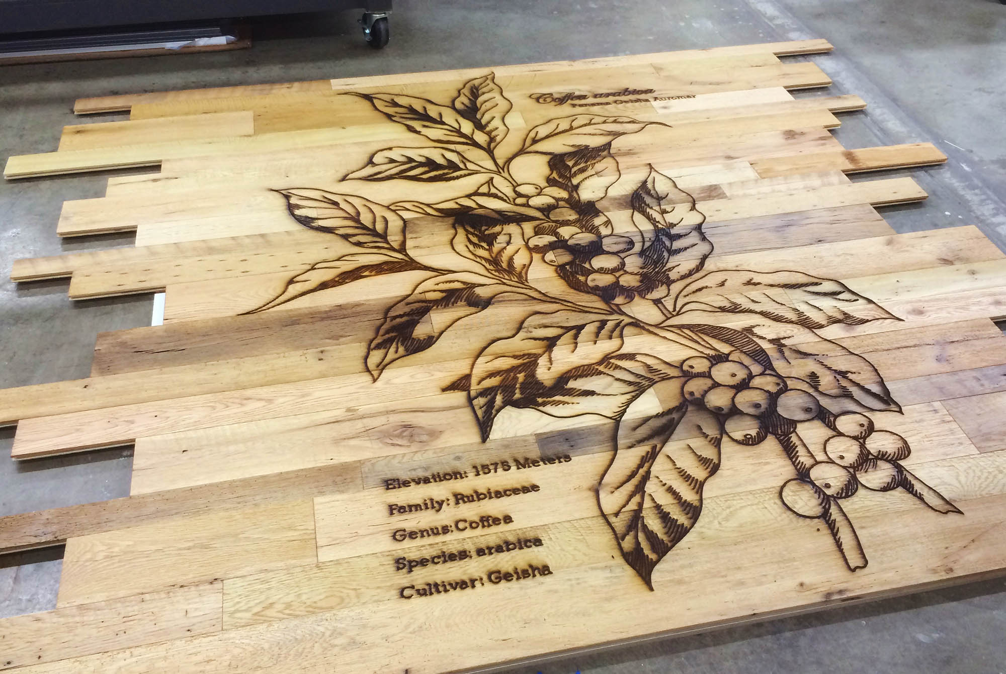 WOOD PANELS FOR LASER CUTTING AND ENGRAVING